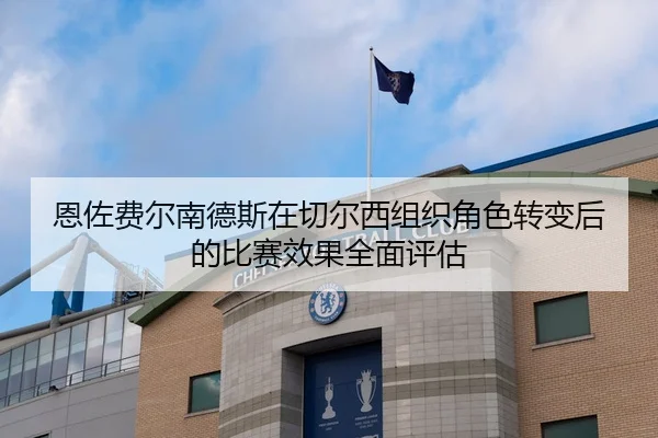 恩佐费尔南德斯在切尔西组织角色转变后的比赛效果全面评估